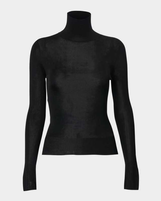 Sheer Turtleneck Sweater
